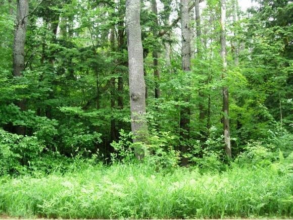 0 Gristmill Hill Rd, Canaan, NH 03741 - photo 1