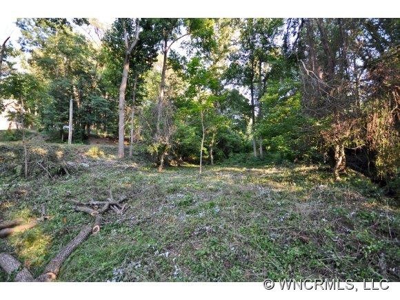 West Asheville Lot
