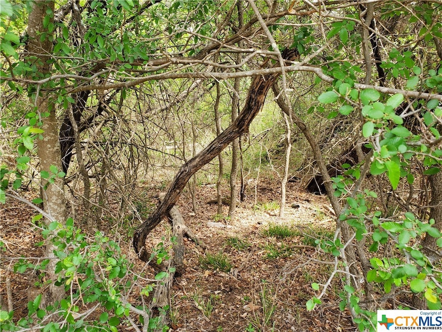 13172 Harbor Dr, Temple, TX 76502 - photo 1