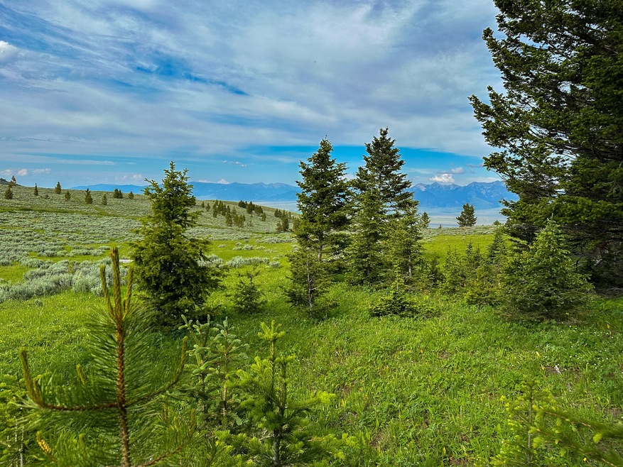 Under Contract $135,000 • Co-Listing Agent