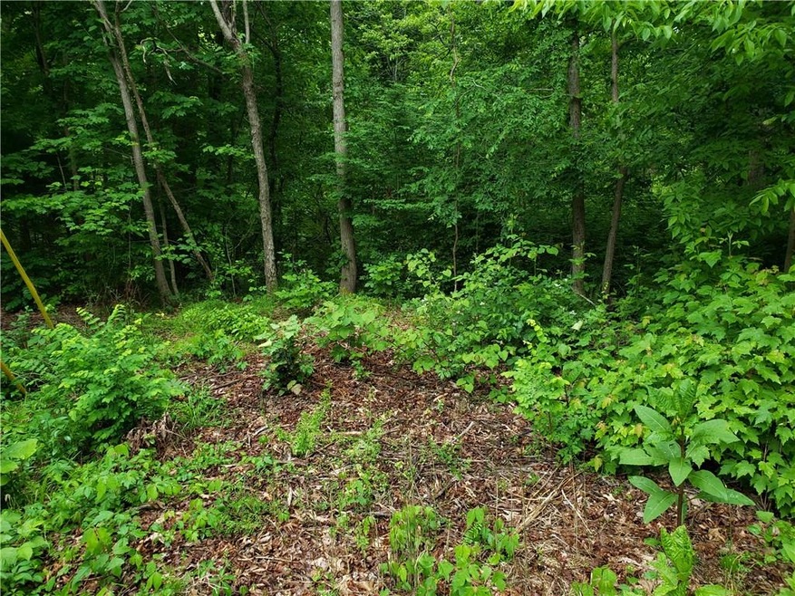 0 Wells Ln, Bella Vista, AR 72715 - photo 1