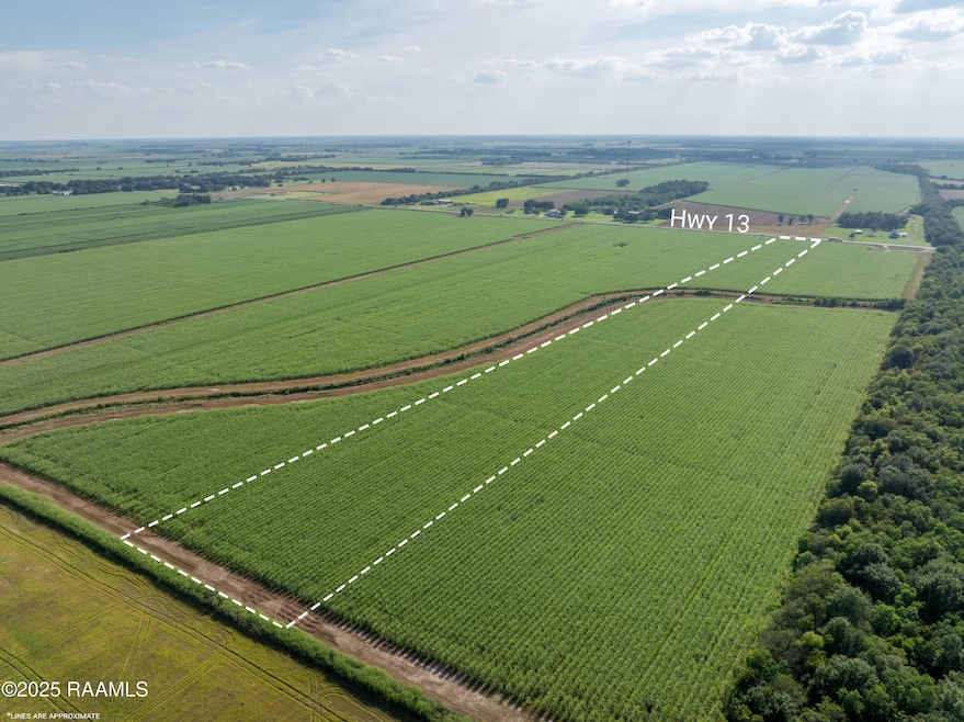 Tbd Louisiana 13 unit 3, Kaplan, LA 70548 - photo 1