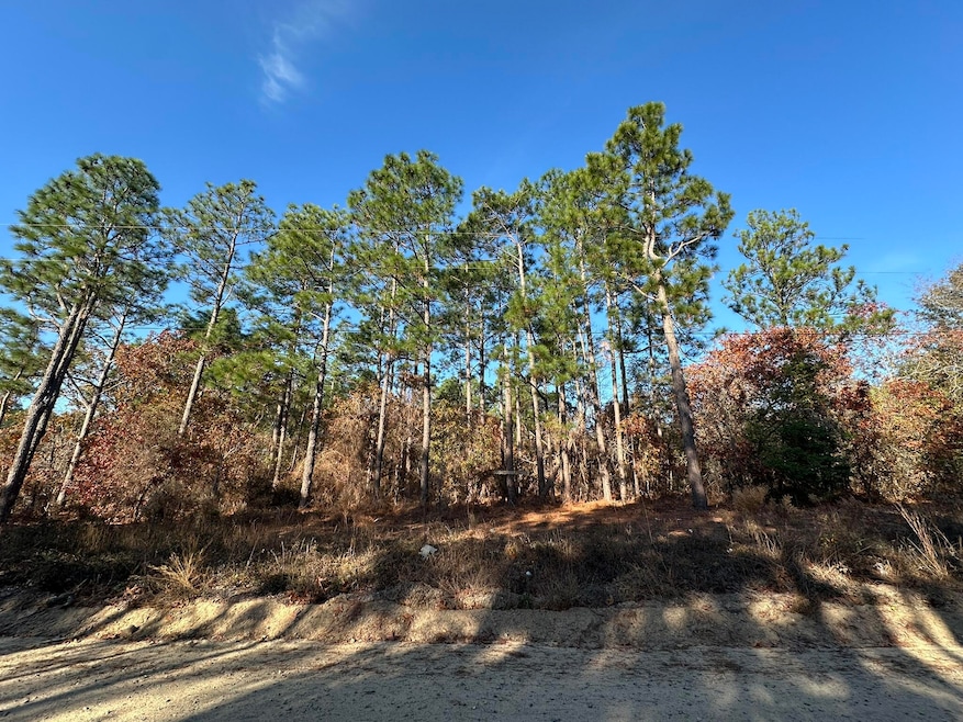 3054 Camp Josey Rd, Blythe, GA 30805 - photo 1