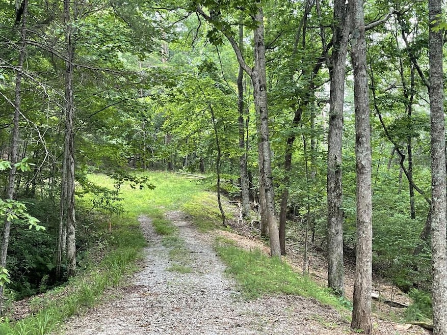 Serene drive to the cul-de-sac