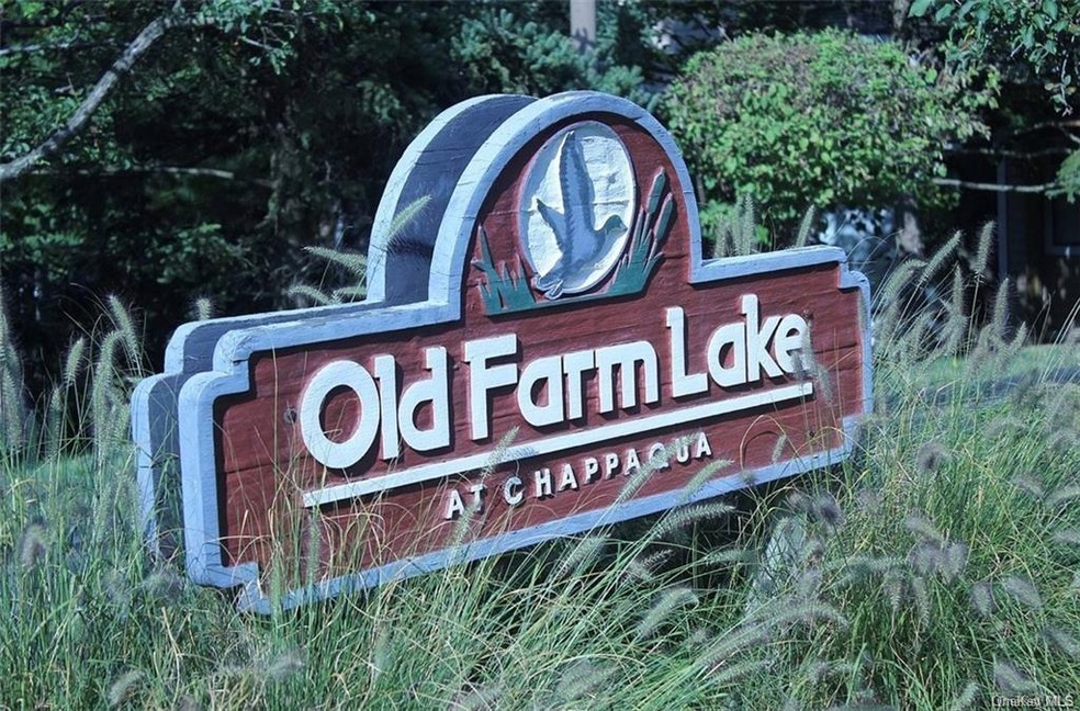 167 Birchwood Close unit 167, Chappaqua, NY 10514 - photo 1