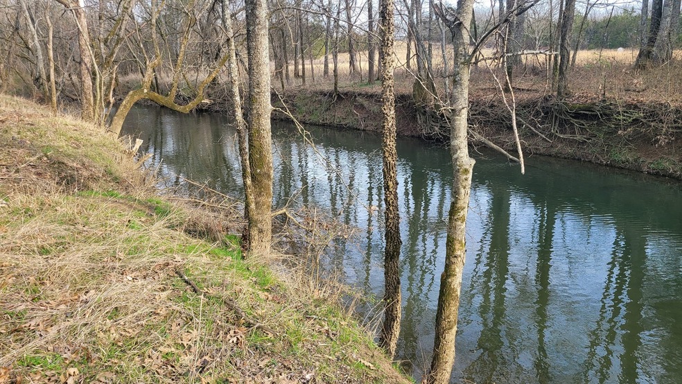 4 Old Nashville Dirt Rd, Shelbyville, TN 37160 - photo 1