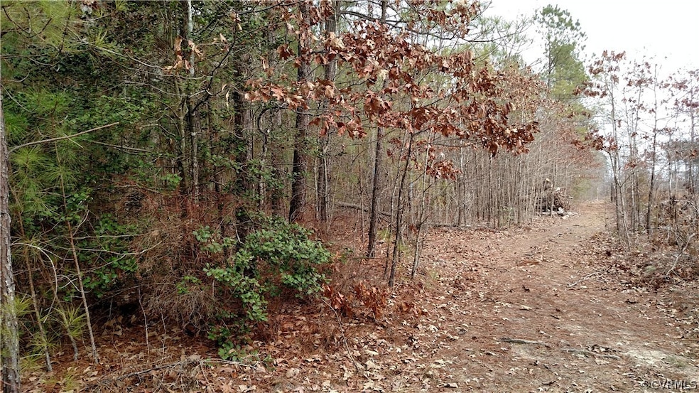 00000 Prince George Dr, Prince George, VA 23842 - photo 1