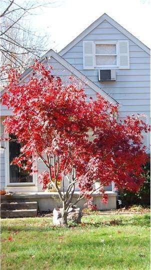 224 Dobson Ln, Cherry Hill, NJ 08003 - photo 1