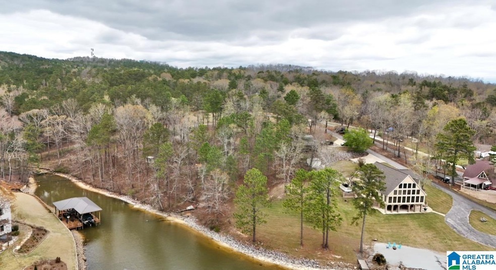 0 Frankies Rd unit 21413440, Vincent, AL 35128 - photo 1