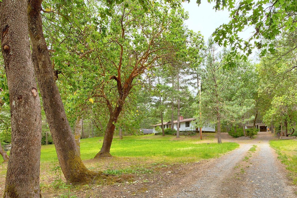 Coming Up Driveway