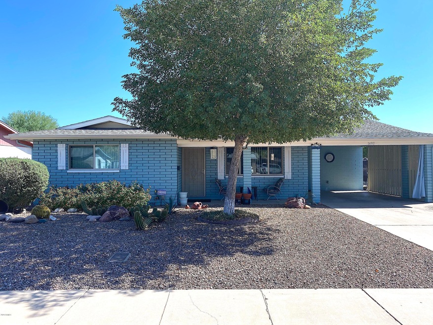 Ocotillo Front 1