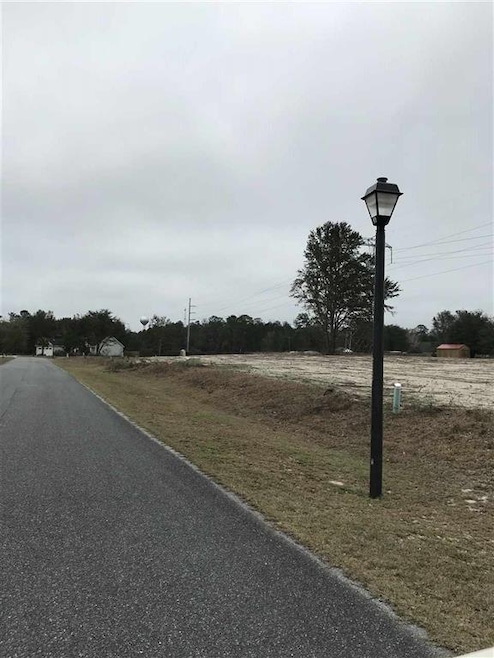 Lot 16 Savannah Forest Cir, Crawfordville, FL 32327 - photo 1