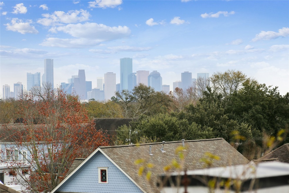 View of Downtown from Rooftop Terrace