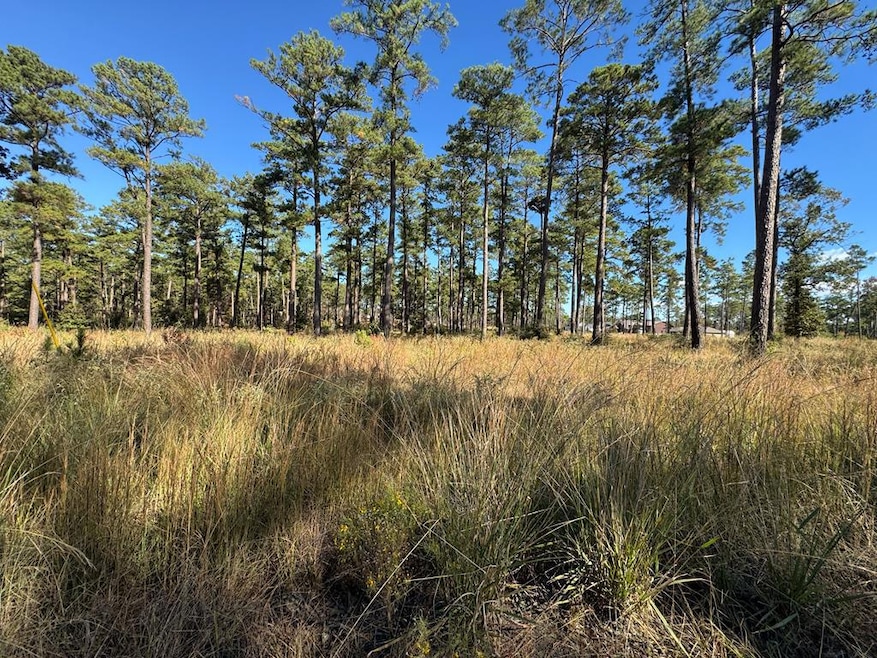 033 Pr 6026, Brookeland, TX 75931 - photo 1