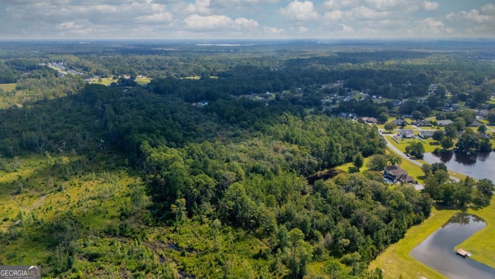 0 Hodgeville Rd unit 10604115, Guyton, GA 31312 - photo 1