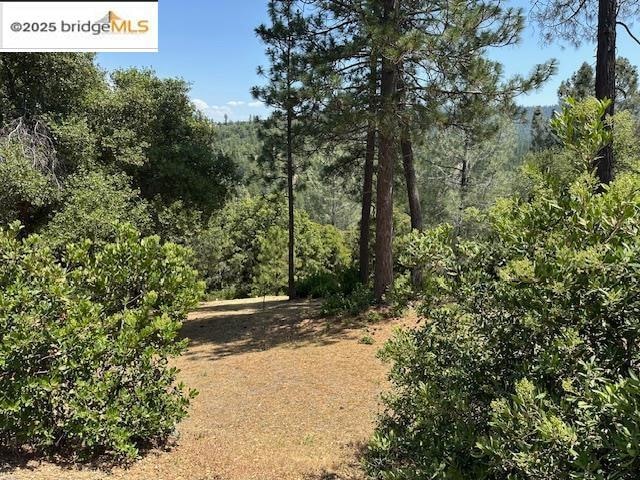 12064 Hillhurst Cir, Groveland, CA 95321 - photo 1