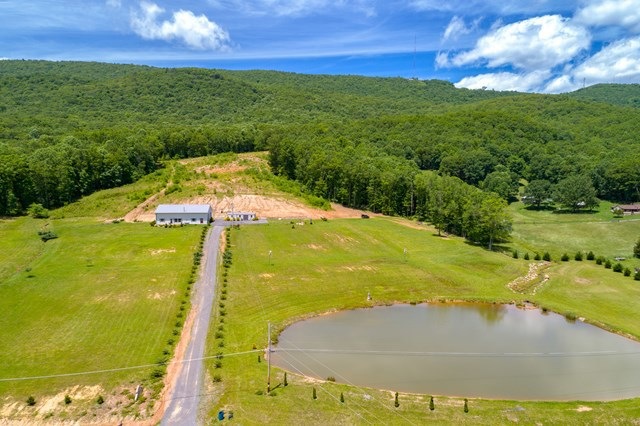 Main View