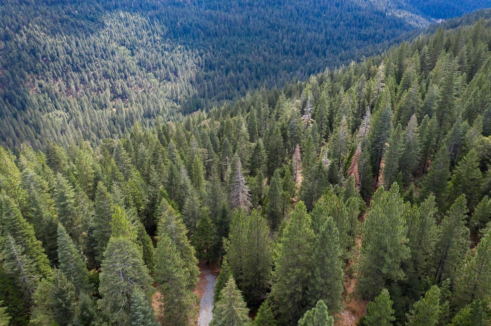 11023 Lowell Hill Rd, Nevada City, CA 95959 - photo 1