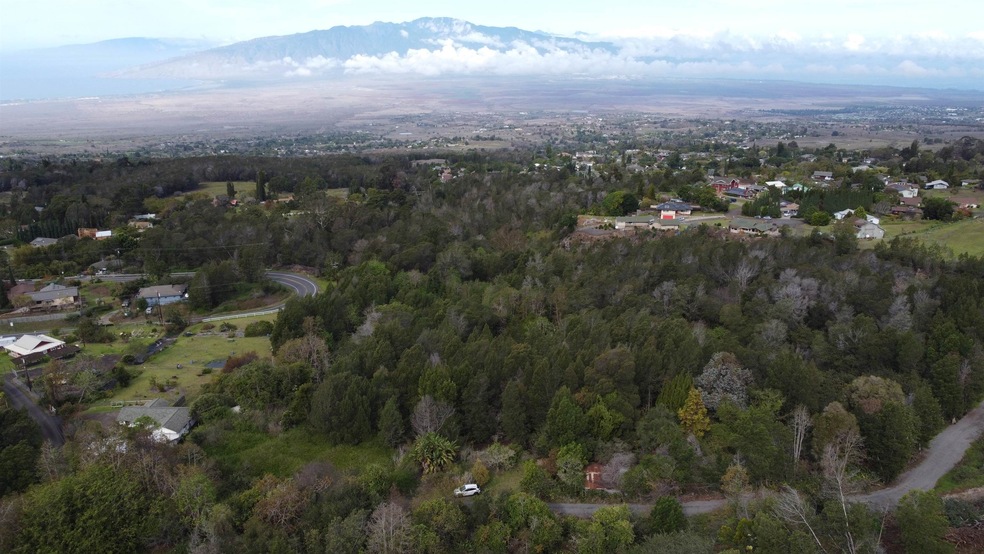 0 Haleakala Hwy unit 398383, Kula, HI 96790 - photo 1