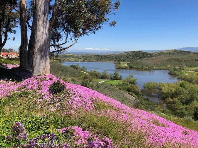 Sold $2,295,000 • Co-Listing Agent