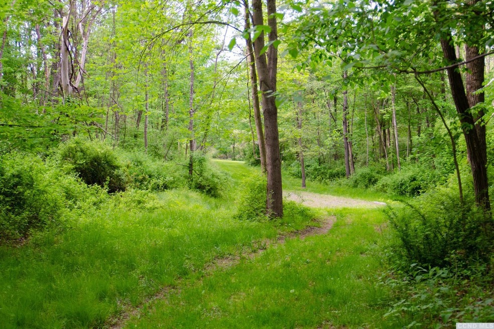 0 Doodletown Rd, Ancram, NY 12502 - photo 1