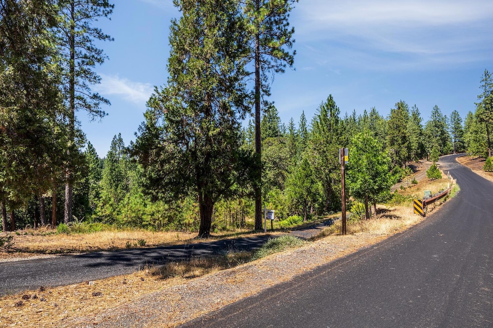 1712-Lot 304 The Point, Meadow Vista, CA 95722 - photo 1