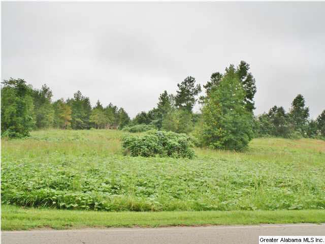 0 County Road 87 unit LOT 3 609168, Roanoke, AL 36274 - photo 1