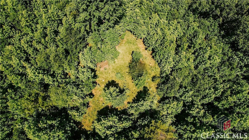 0 Griffin Rd unit CM1027810, Royston, GA 30662 - photo 1