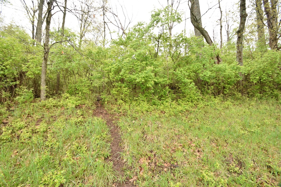 Tract 5 at Dean Rd, Harrodsburg, KY 40330 - photo 1