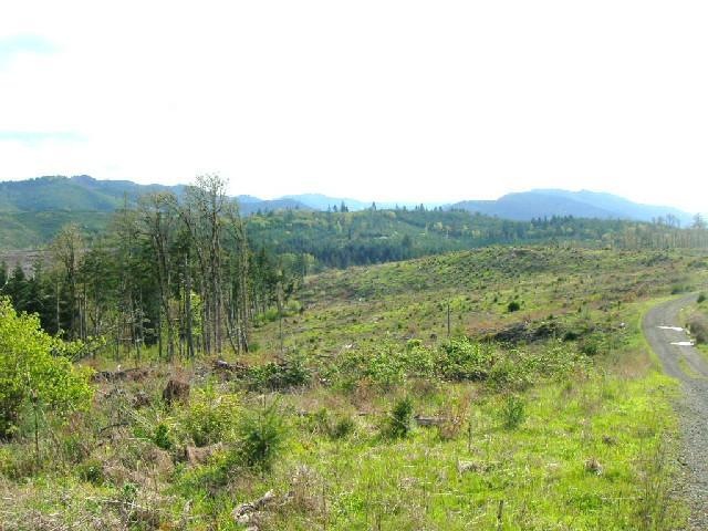 17754 Oregon 22 unit 5, Sheridan, OR 97378 - photo 1