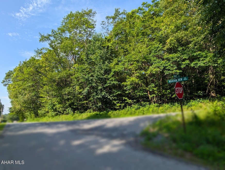 752 Mountain View Rd, Schellsburg, PA 15559 - photo 1