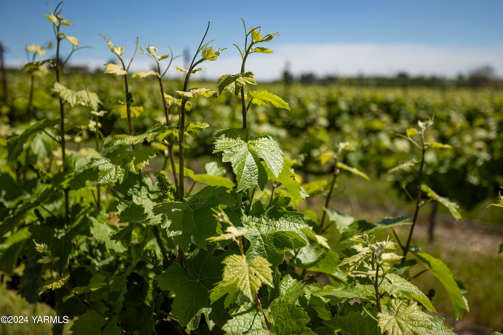 0 Wilson Hwy, Grandview, WA 98930 - photo 1