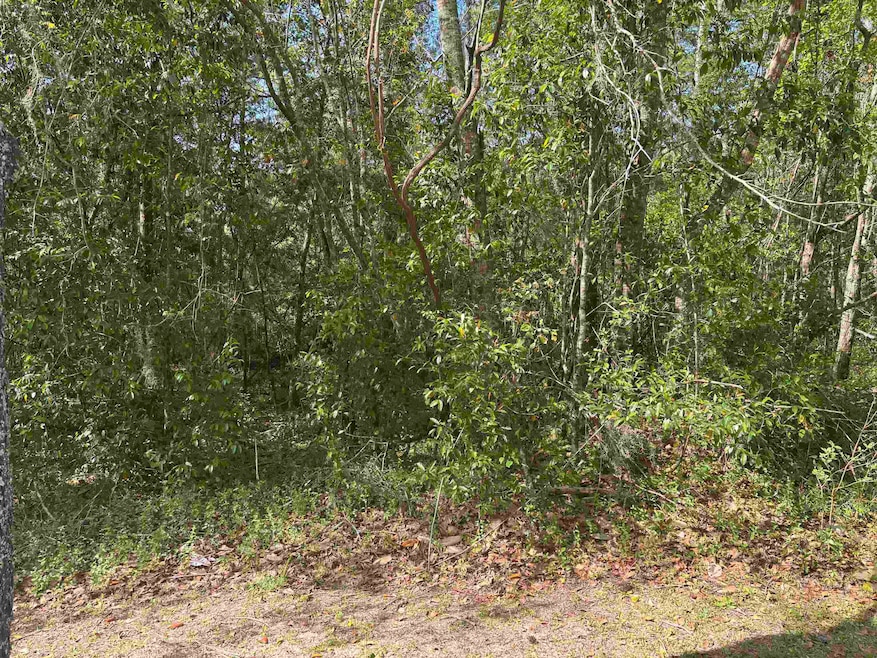 0 James Duhard Way unit 391433, Tallahassee, FL 32308 - photo 1