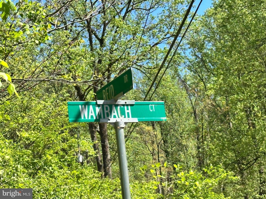 0 Wambach Ct, Shenandoah, VA 22630 - photo 1