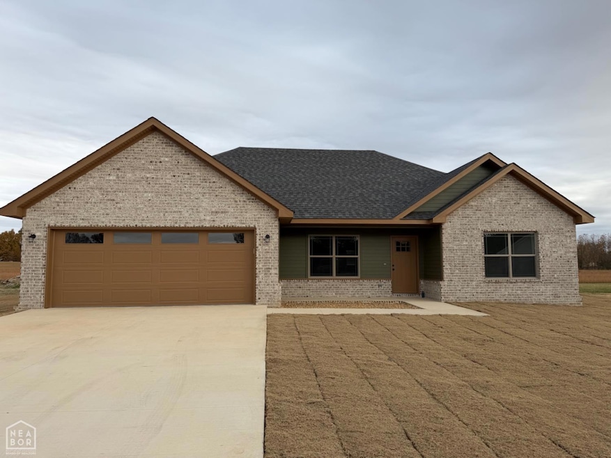 193 Granny Jean Ln, Paragould, AR 72450 - photo 1