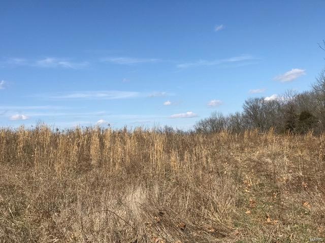 0 Busiek Rd, Farmington, MO 63640 - photo 1