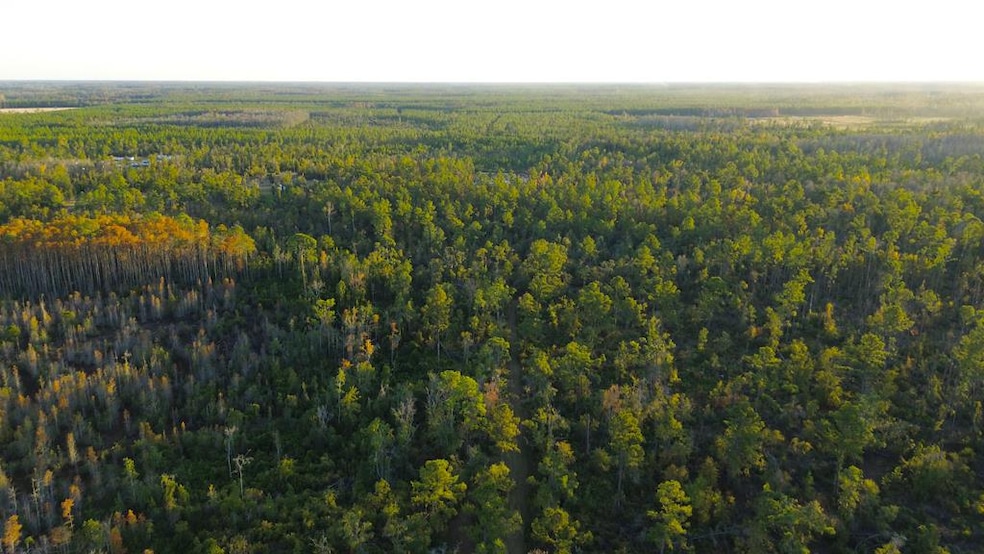 0 Porter Rd, Lake Park, GA 31636 - photo 1