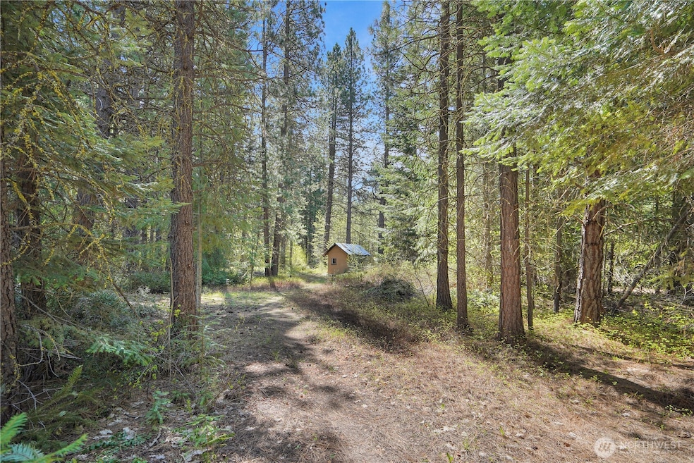 17265 Lake Julius Rd, Leavenworth, WA 98826 - photo 1