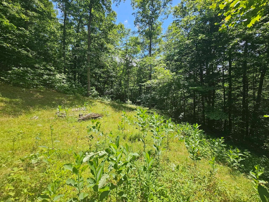 For Sale $44,900 • Co-Listing Agent