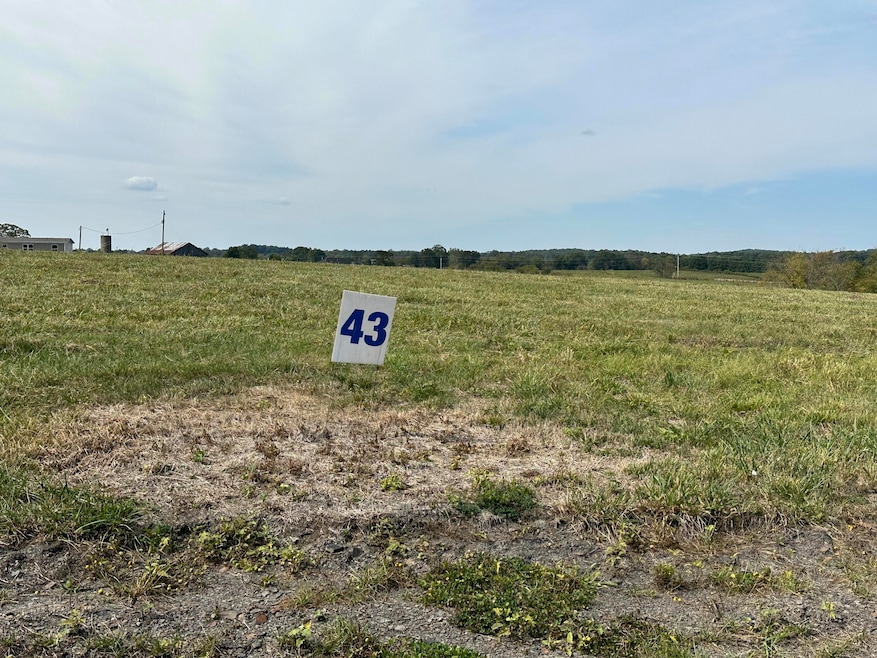 43 Turkey Loop, East Bernstadt, KY 40729 - photo 1