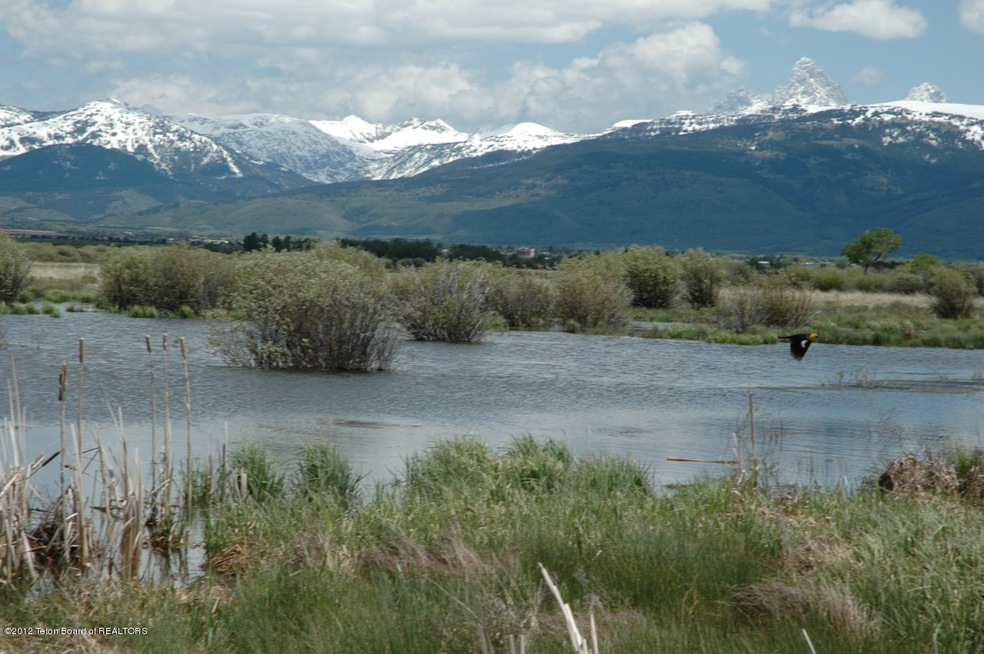 Woods Creek 160