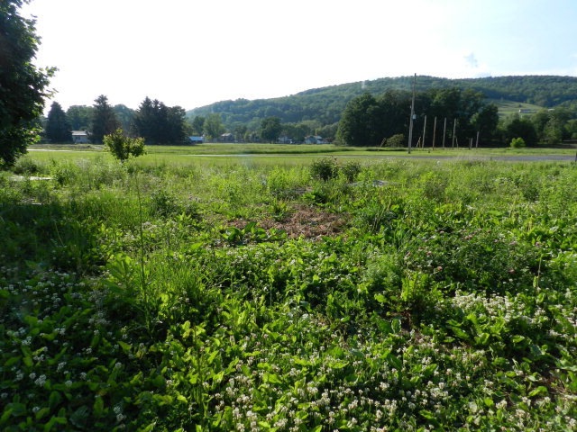 Main View