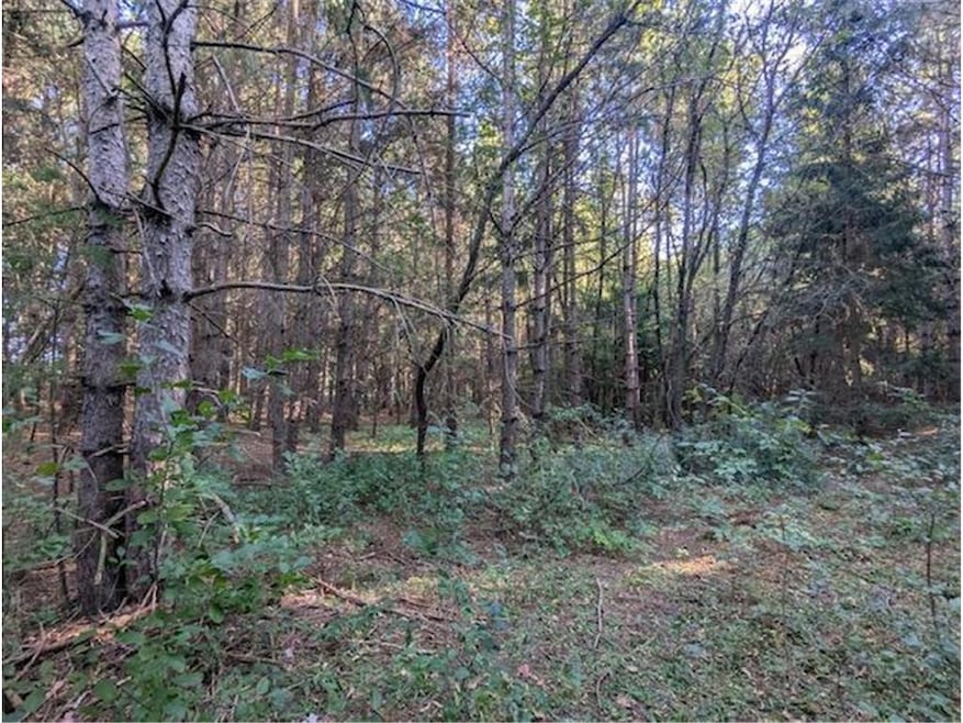 8xx 97th Street St, Amery, WI 54001 - photo 1