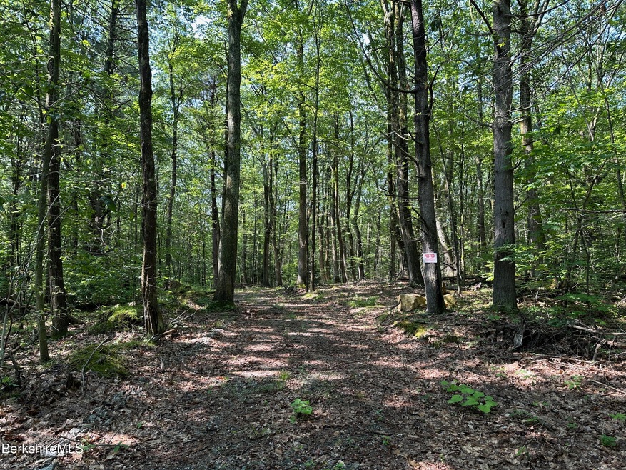 0 Cronk Rd, Sandisfield, MA 01255 - photo 1