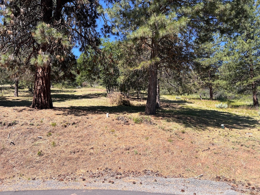 Front Of Lot
