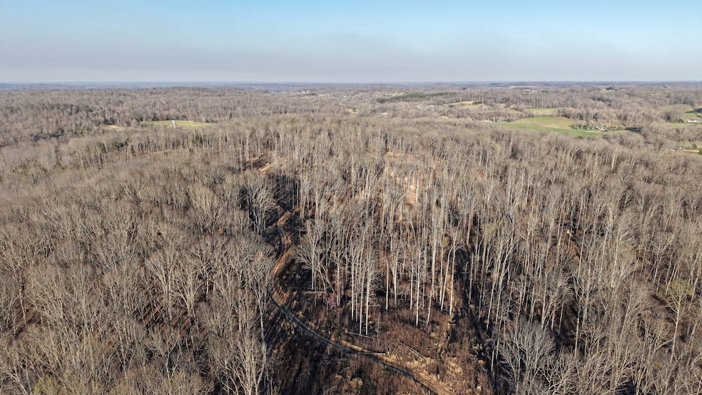 6 Oak Ridge Rd, Vanleer, TN 37181 - photo 1