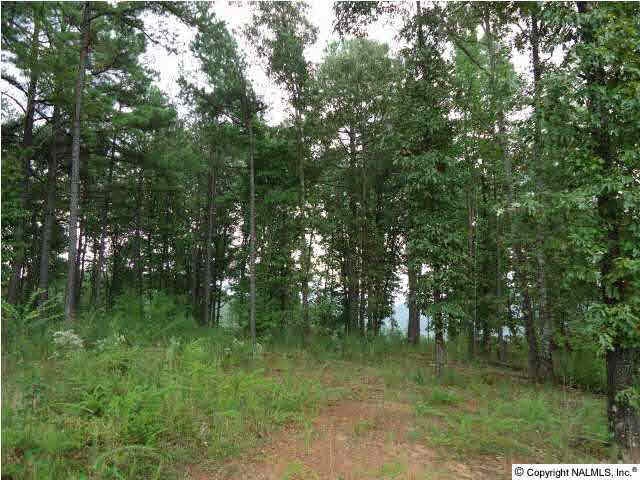 0 Mini Farm Rd unit 379779, Grant, AL 35747 - photo 1