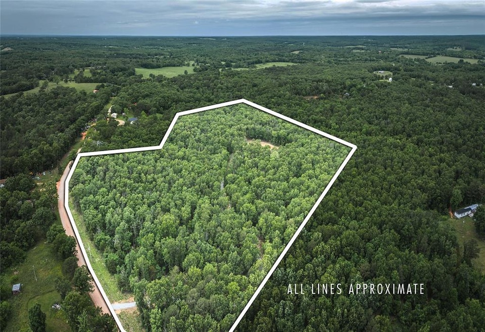 12828 Cadle Rd, Sherrill Township, MO 65542 - photo 1