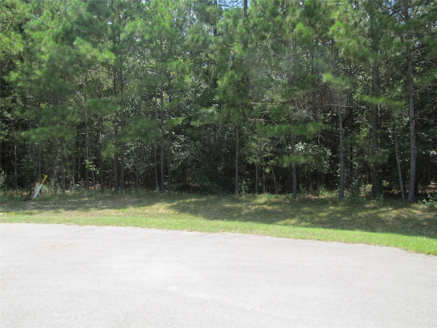 28013 Arrowhead Trail, Magnolia, TX 77355 - photo 1