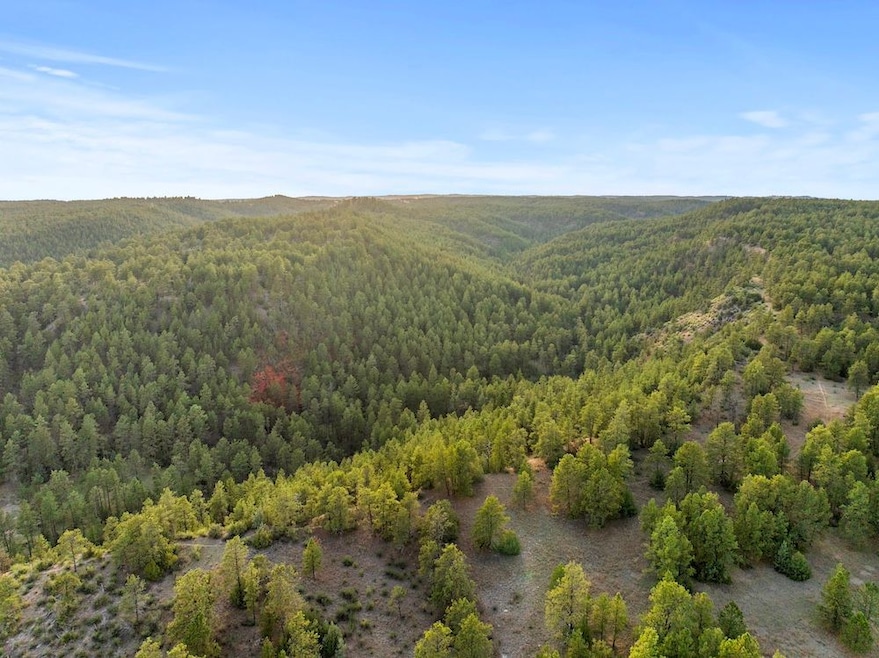 0 Tbd Argyle Rd unit LotWP001 23629719, Hot Springs, SD 57747 - photo 1